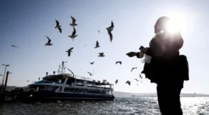 Trakya’nın kuzeyi hariç, Marmara, Ege’nin kuzeyi, Karadeniz ve Doğu Anadolu’nun