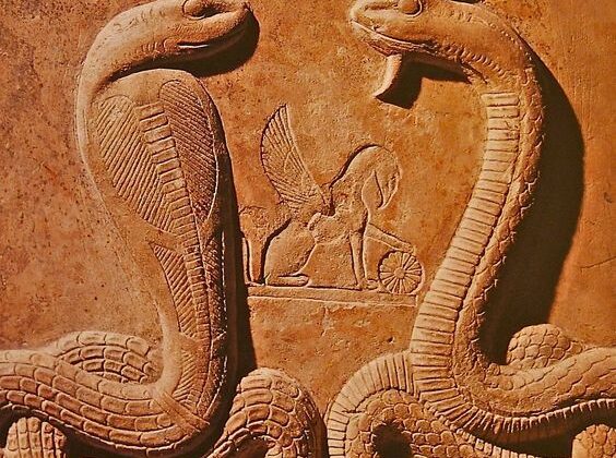 Yeni araştırmalar: Antik Mısır, tarihte zehirli yılanların sığınağı olabilir