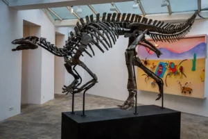 Paris’teki Drouot Müzayede Evi, dinozor meraklılarını heyecanlandıran bir olaya ev