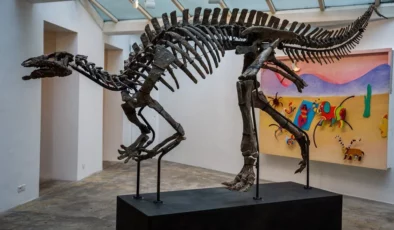 150 milyon yıllık dinozor fosili 930 bin euro’ya alıcı buldu