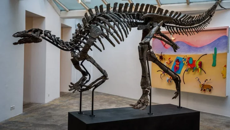 150 milyon yıllık dinozor fosili 930 bin euro’ya alıcı buldu