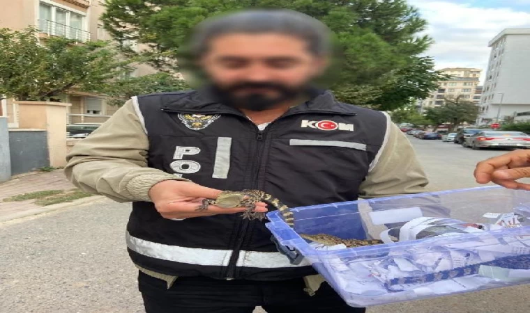 Operasyonda şüpheli gözaltına alınırken yavru timsahlar Doğa Koruma ve Milli