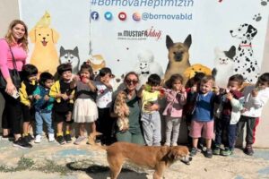 Anaokulu öğrencisi minikler can dostları için mama kabı boyayıp, hayvan