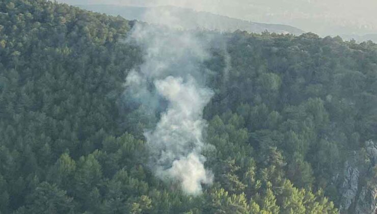 İzmir’de orman yangını 1 saatte kontrol altına alındı