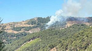 Yangın, saat 14.00 sıralarında Kavacık Mahallesi’ndeki ormanda çıktı. İhbar üzerine