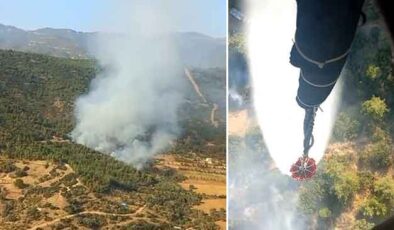 İzmir’de orman yangını 2 saatte kontrol altına alındı