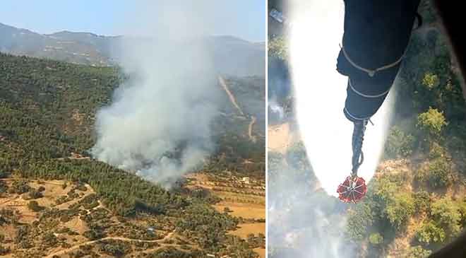 İzmir’de orman yangını 2 saatte kontrol altına alındı