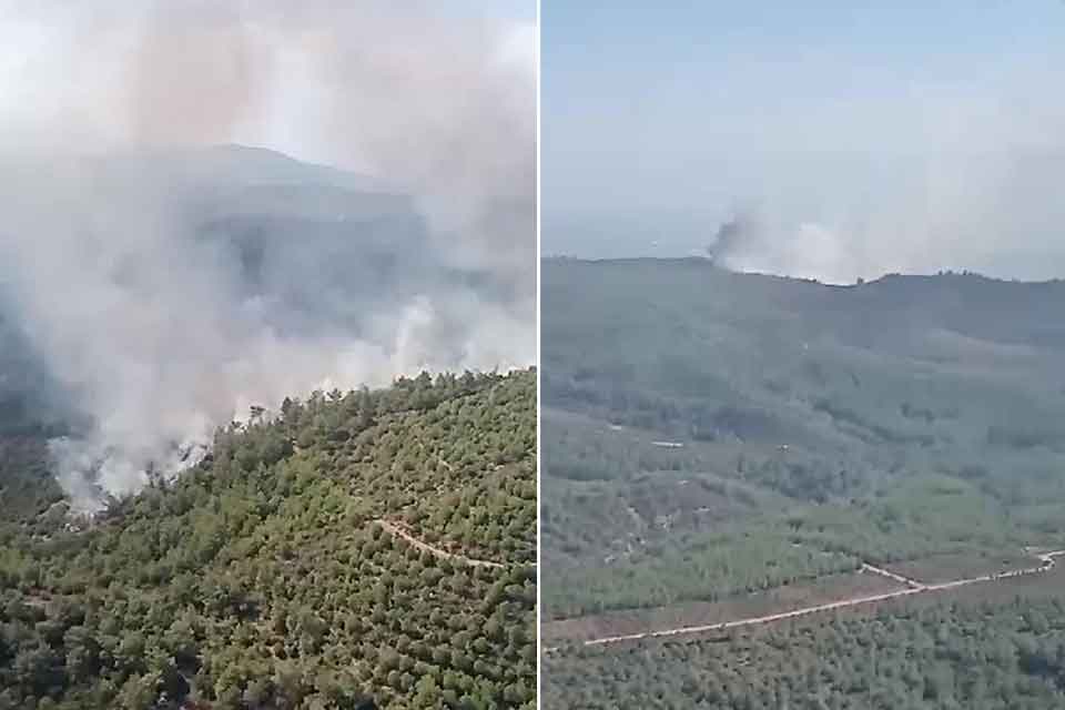 İzmir'de korkutan orman yangını 5 saatte kontrol altına alındı