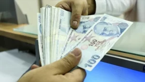 Türkiye’deki kur korumalı mevduatlar, Bankacılık Düzenleme ve Denetleme Kurumu (BDDK)