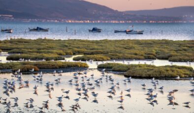İzmir’de Kuraklık ve Sulak Alanları Koruma Projesi: Eylem Planı hazırlanacak