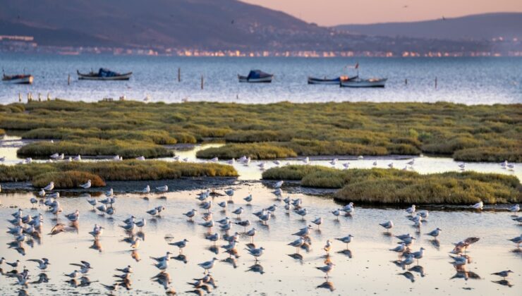 İzmir’de Kuraklık ve Sulak Alanları Koruma Projesi: Eylem Planı hazırlanacak