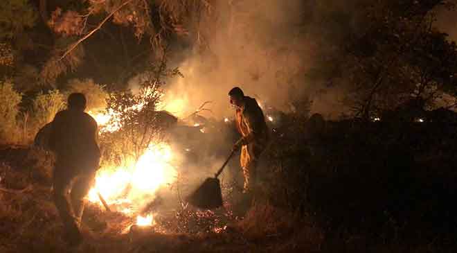 Manisa’da çıkan orman yangını 2 saatte kontrol altına alındı