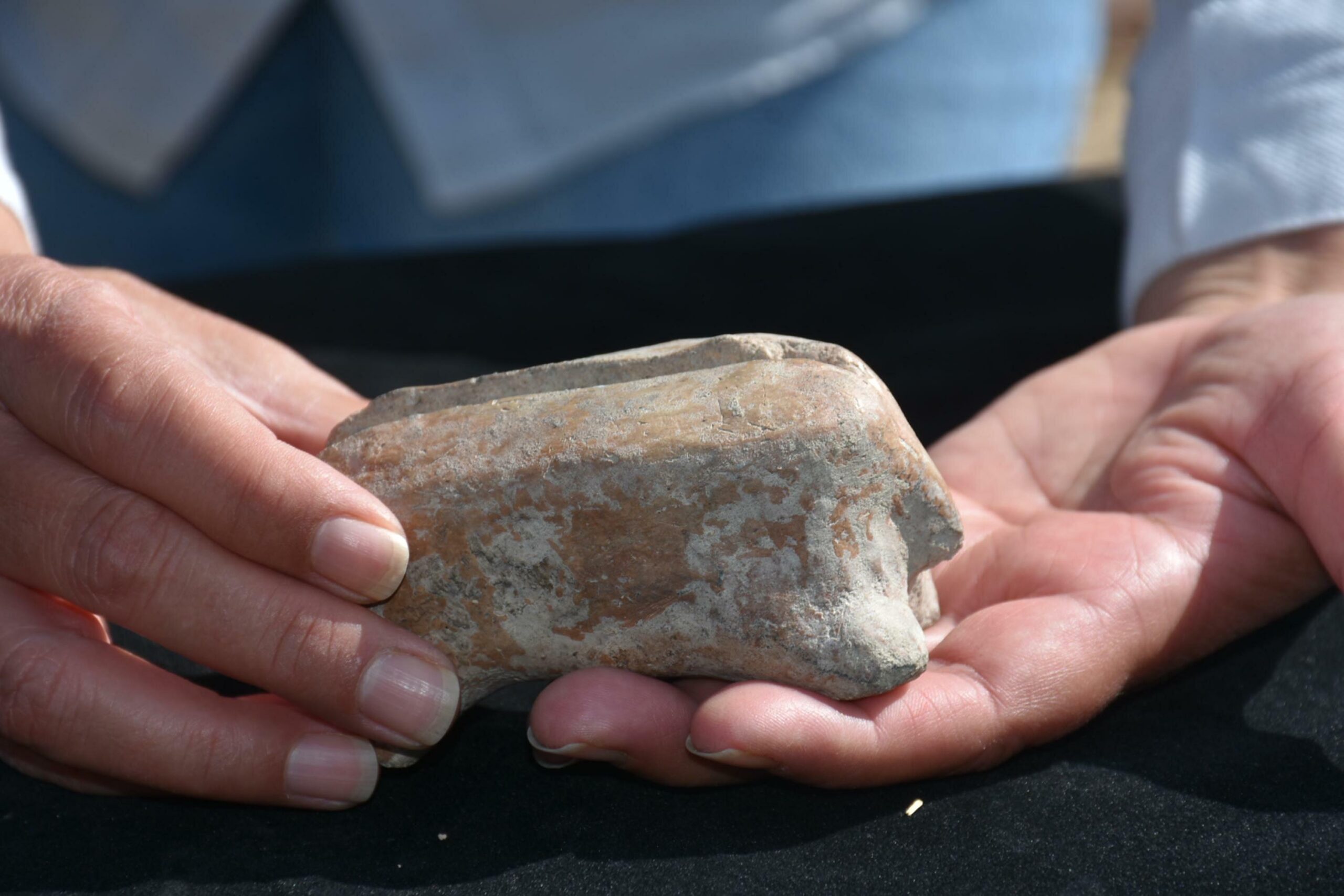 İzmir’in Kemalpaşa ilçesindeki Ulucak Höyüğü’nde yapılan kazı çalışmalarında, sığır şekli