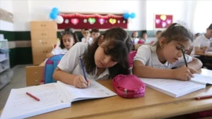 Milli Eğitim Bakanlığı (MEB), Okul Öncesi Eğitim ve İlköğretim Kurumları