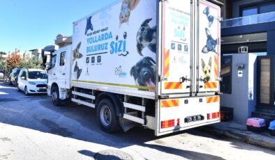 İzmir’de bu yıl toplam bin 600 hayvan kısırlaştırıldı