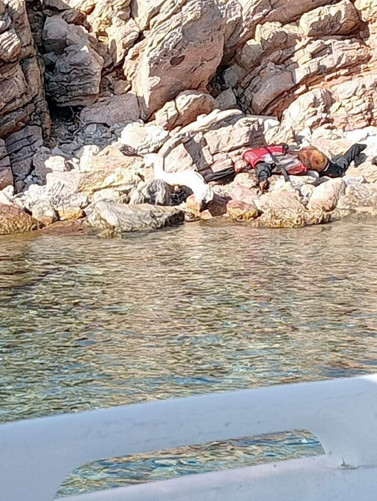 bodrum