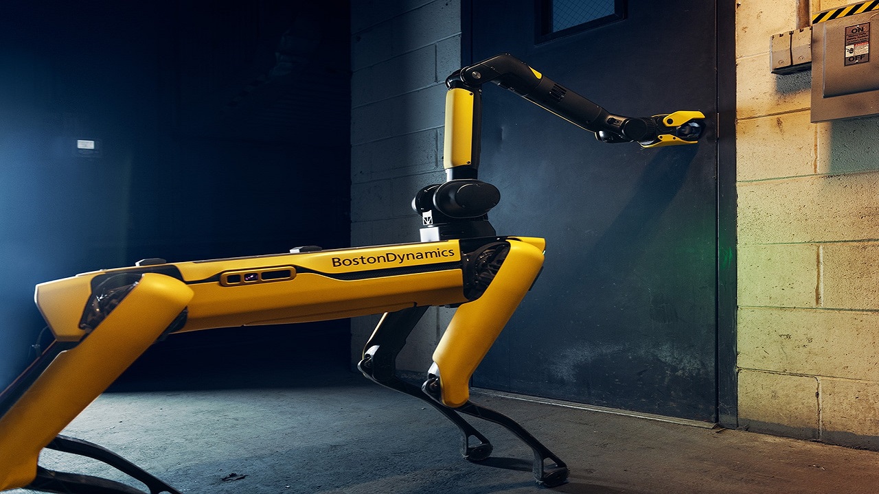 Güney Kore’de, koli taşıma göreviyle görevli bir robot, trajik bir