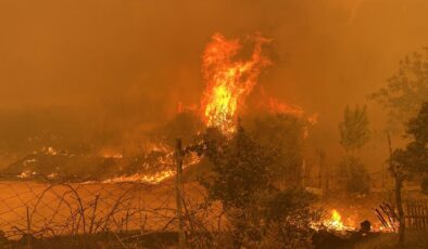 Bir orman yangını daha! Çanakkale yanıyor, rüzgar yangını kontrolden çıkarıyor!