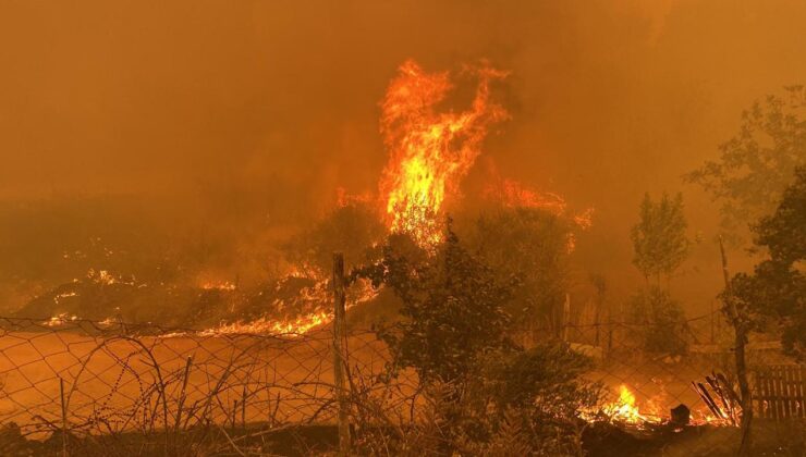 Bir orman yangını daha! Çanakkale yanıyor, rüzgar yangını kontrolden çıkarıyor!