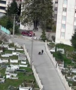 Giresun’un Espiye ilçesinde kabristandan geçen yolda yürüyen bir kişi, mahalleye inen