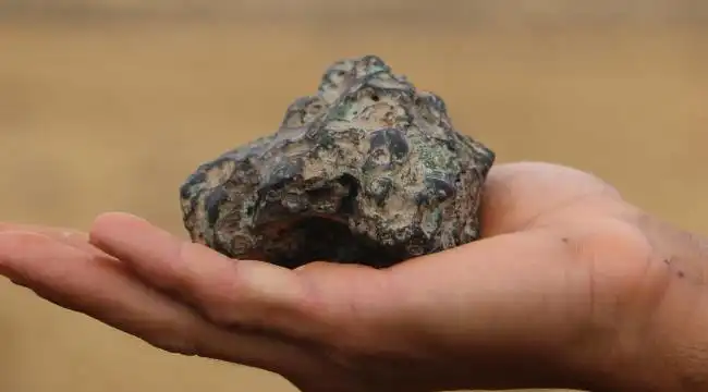 Almanya’da Türk ailesinin bahçesine düşen meteor, değer kazanarak dikkat çekiyor