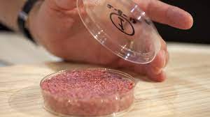 İtalya meclisi, sentetik et üretimini ve satışını yasaklama kararı aldı