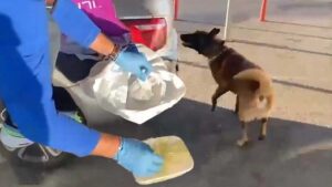 İzmir’in Kemalpaşa ilçesinde otomobilde polis ekiplerince yapılan aramada 1 kilo