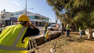 İzmir Büyükşehir Belediye Başkanı Tunç Soyer’in göreve geldiği günden itibaren