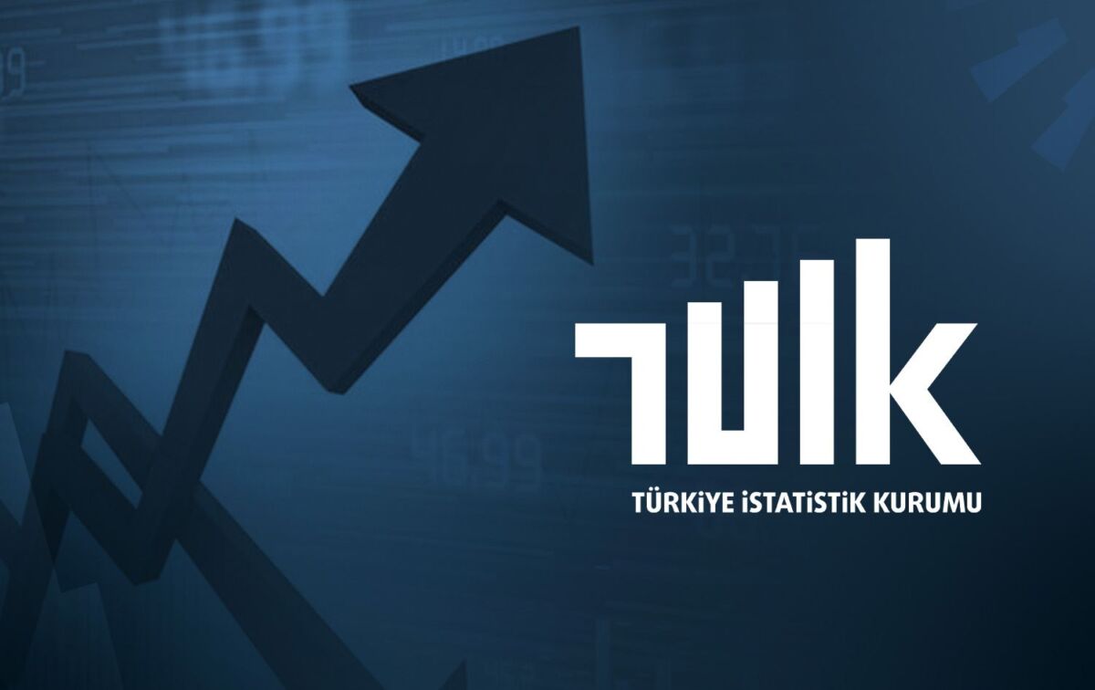 TÜİK’in verilerine göre, Türkiye’de cinsiyet, meslek ve eğitim durumu bakımından