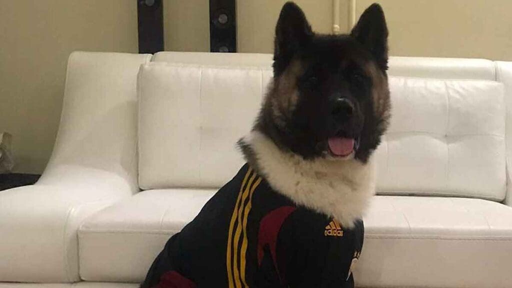 Haki'yi tekmeyle öldüren sanık: 'ağızlığı yoktu' 4 Haki'yi tekmeyle öldüren sanık: 'ağızlığı yoktu'