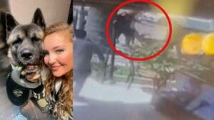 İzmir’de Sibel Gedik’in (45) Akita cinsi ‘Haki’ isimli köpeğini tekmeleyip öldürdüğü