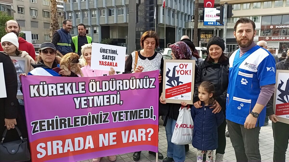 Aydın’ın Nazilli ilçesinde toplanan bir grup hayvan sever, Nazilli’de 2