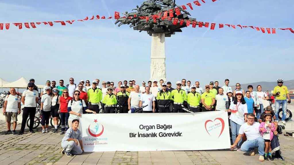 organ bağışı