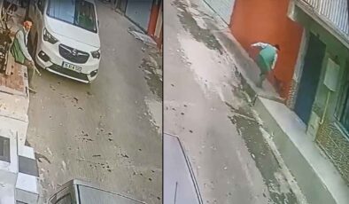 İzmir’de, sokak kedisine keserli saldırı kamerada
