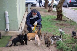 Karşıyaka Belediye Veteriner İşleri Müdürlüğü tarafından yürütülen çalışmalar kapsamında 2023