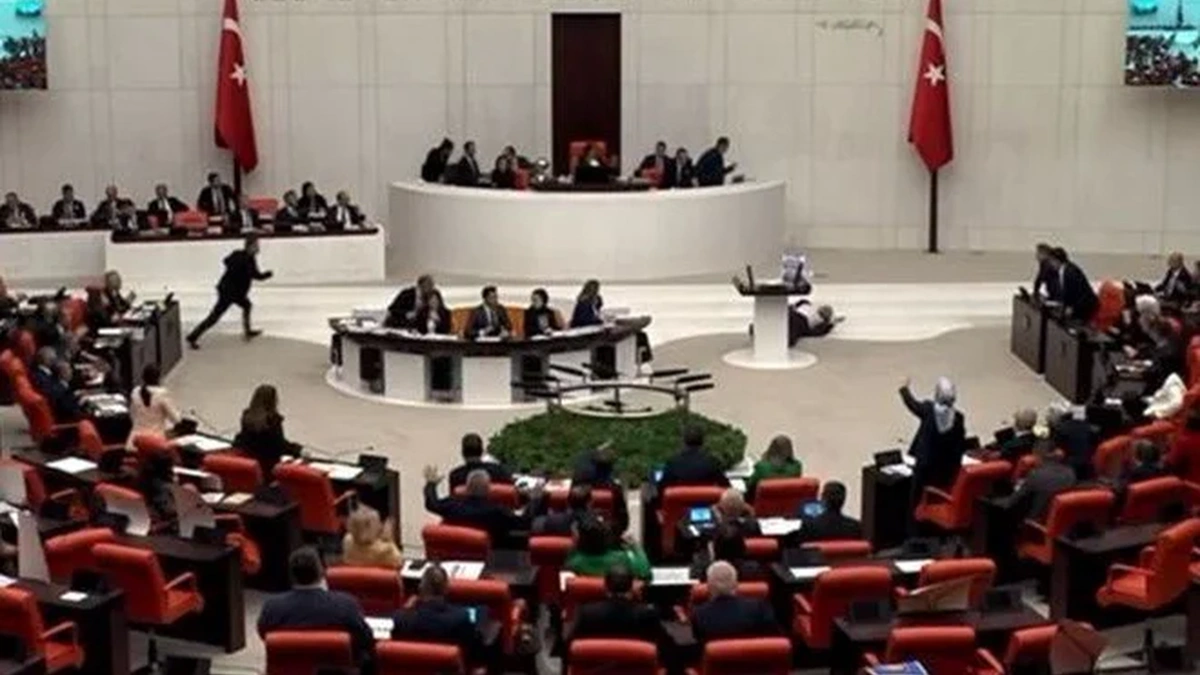 Saadet Partisi Kocaeli Milletvekili Hasan Bitmez, Meclis’te yaptığı bir konuşma