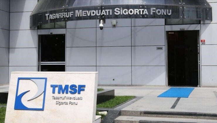 TMSF fenomenlerin şirketlerini kayyum olarak yönetiyor: Polat çiftinin şirketlerine ne oldu?