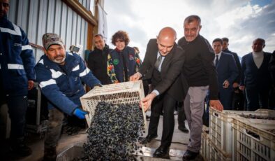 Soyer’den Bergama’da ‘Başka Bir Tarım Mümkün’ açılışı: Zeytinyağı fabrikası kuruldu