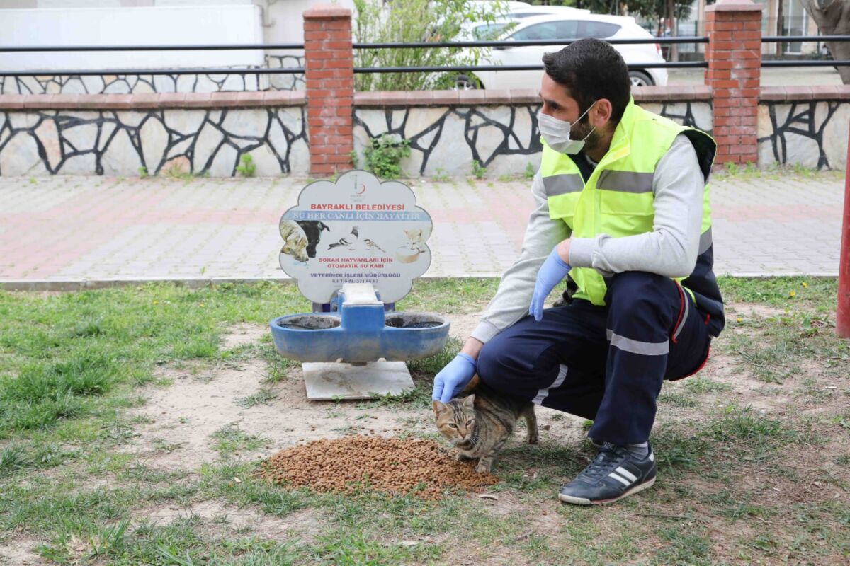 Bayraklı Belediyesi Veteriner İşleri Müdürlüğü ekipleri, yıl boyunca belirli periyotlarda