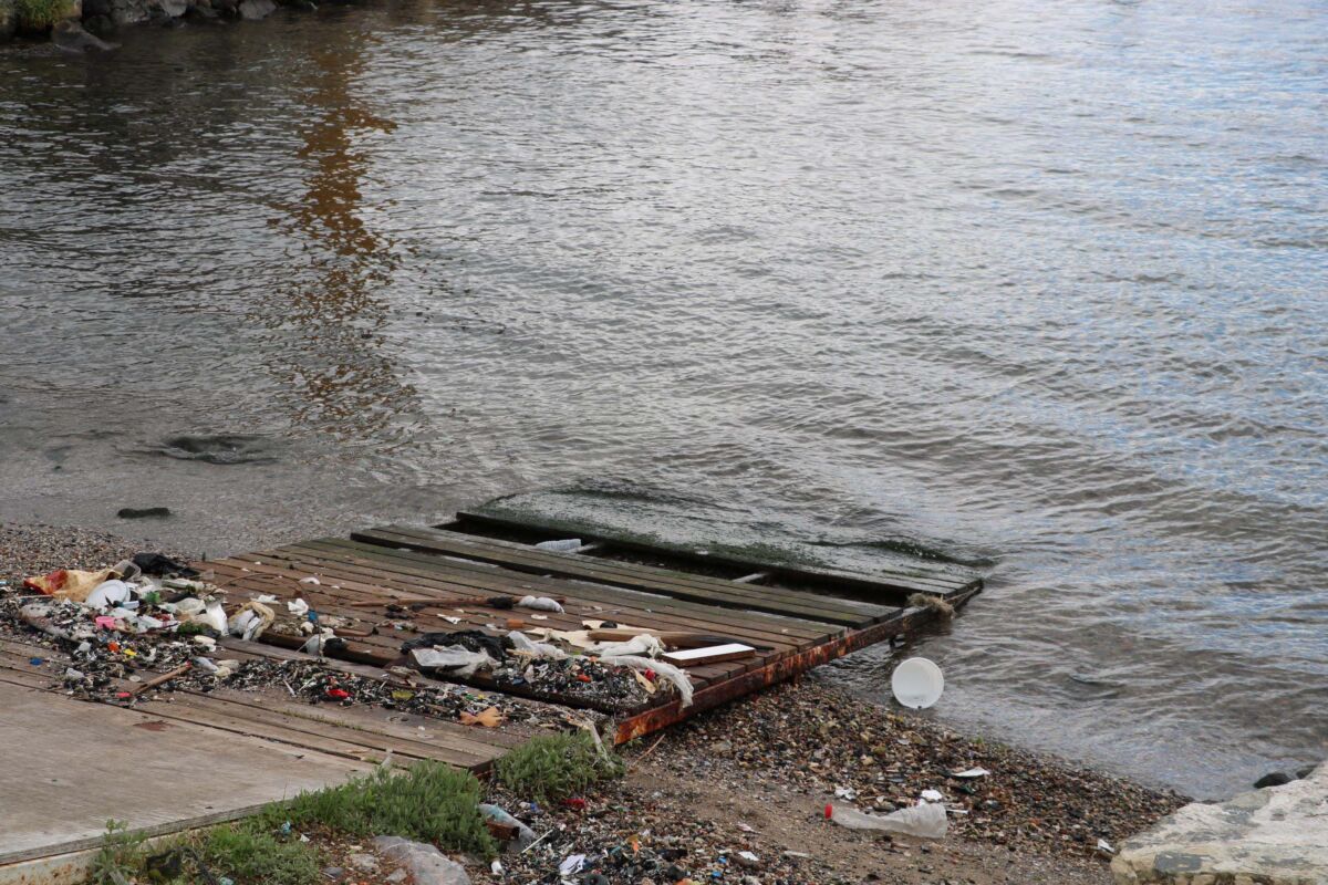 Ziraat Mühendisleri Odası İzmir Şube Başkan Yardımcısı Ekim Özal, İzmir