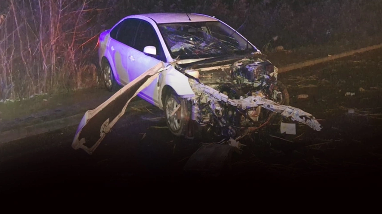 Aydın’ın Germencik ilçesinde yola çıkan kedi yüzünden aracın kontrolünü kaybeden