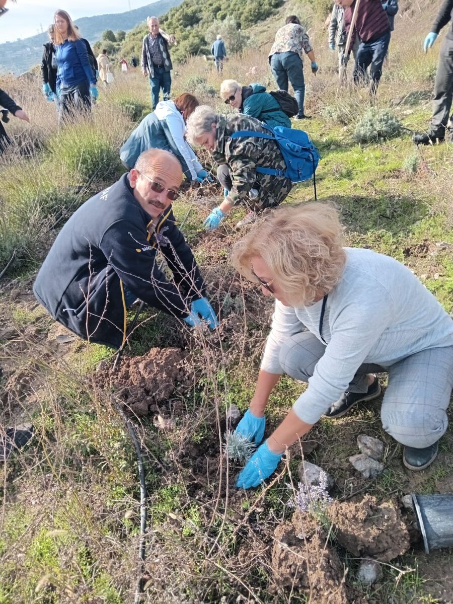 Bornova Belediyesi’nden arıcılara destek: ‘İki bin kök lavanta dikimi’ Bornova Belediyesi arıcılığı geliştirmek için kurduğu Kayadibi Köyü’ndeki arılıkta, arılar