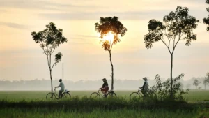 Major tech companies collaborate on a historic initiative for eco-friendly