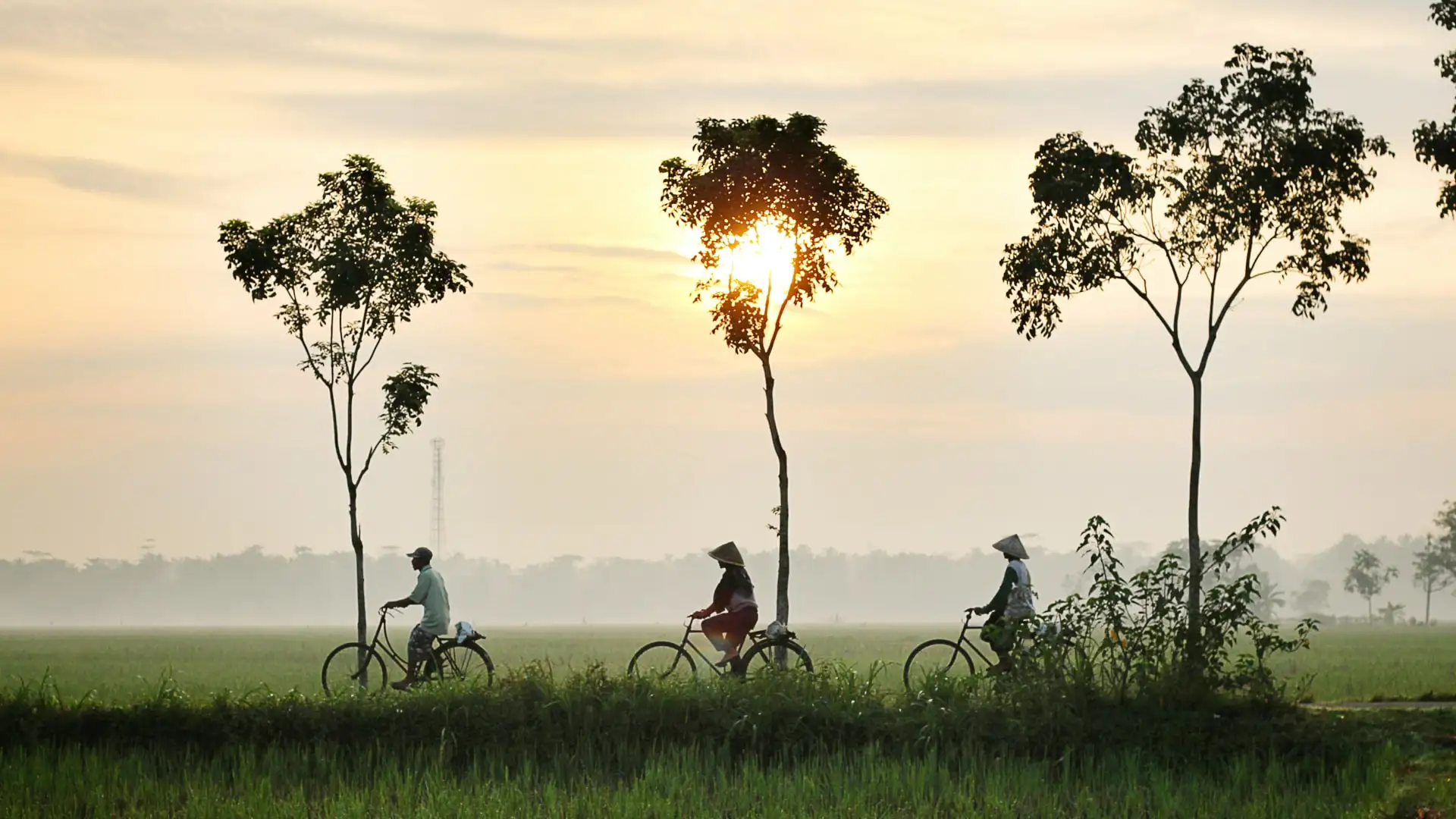 Major tech companies collaborate on a historic initiative for eco-friendly