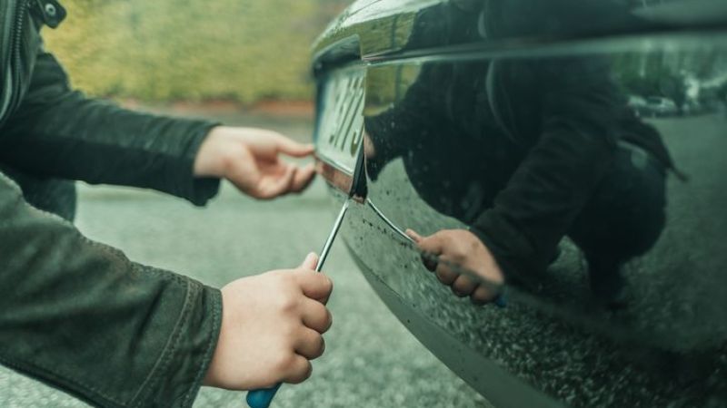 1 Ocak 2024'ten itibaren araç plakaları, araç sahibiyle ilgili bilgilere