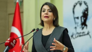 CHP Genel Başkan Yardımcısı Gamze Taşçıer, en düşük emekli aylığı