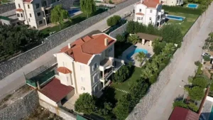 İzmir Bakırçay Üniversitesi Rektörü Mustafa Berktaş’ın, kirasını üniversiteye ödettiği havuzlu
