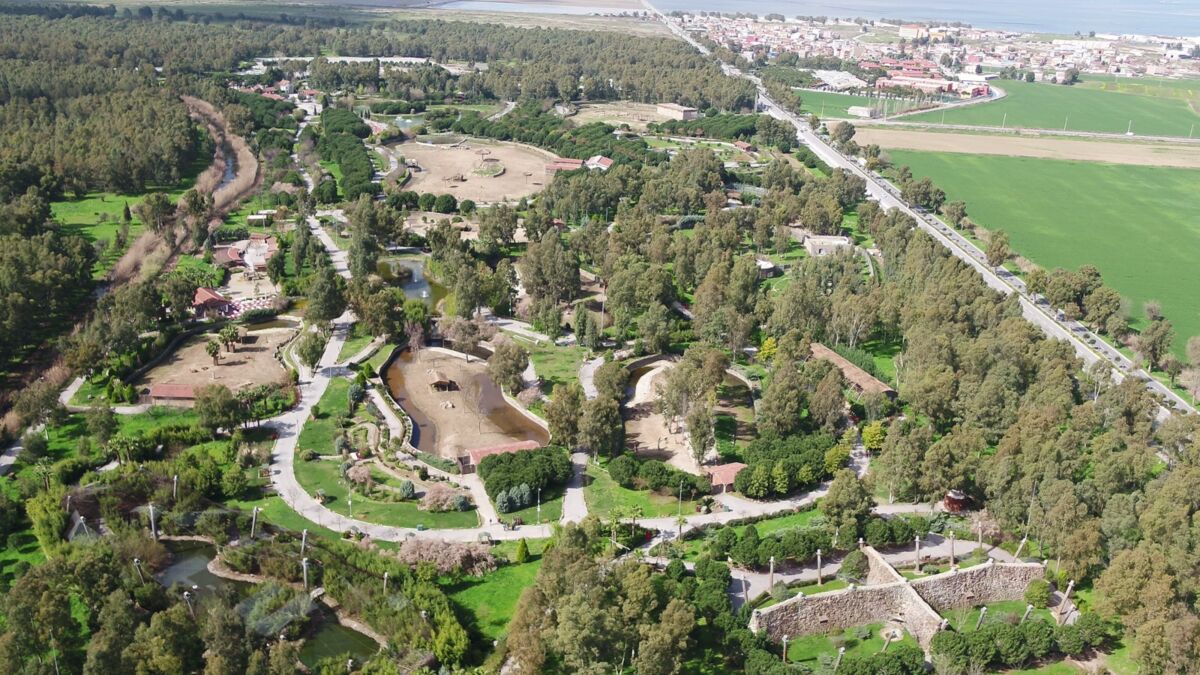 İzmir Doğal Yaşam Parkı, hayvanların periyodik kontrollerinin yapılıp, adaptasyon ve