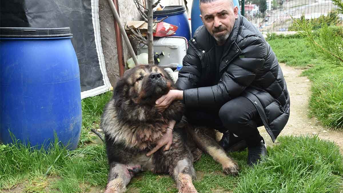 Olay, 25 Şubat saat 06.30 sıralarında, Kaynaklar Mahallesi 2001 Sokak’ta