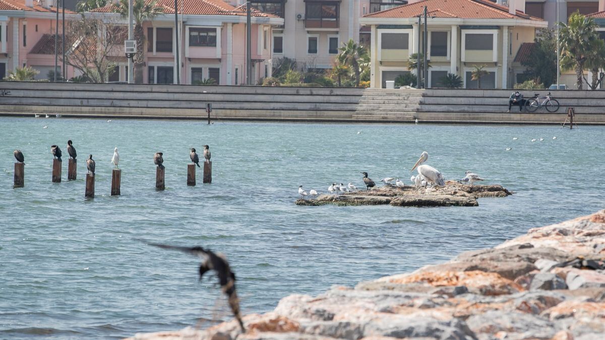 İzmir Büyükşehir Belediye Başkanı Tunç Soyer, Yaşayan Parklar projesi kapsamında